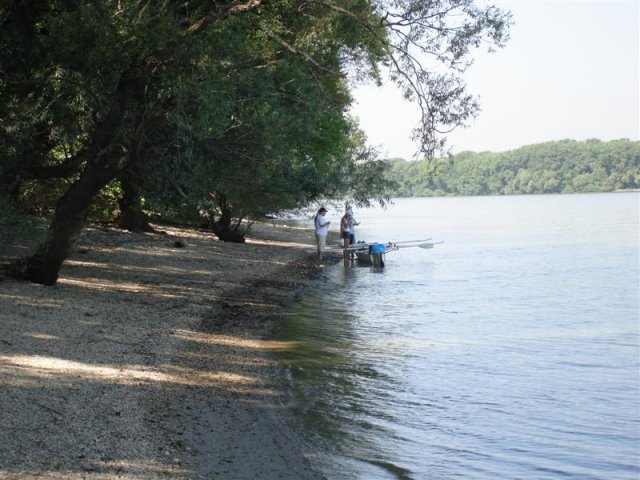 DSC05775 (Medium)
